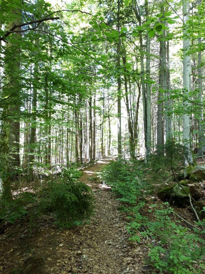 Ferienhaus Bayerwald Ringelai Eksteriør bilde